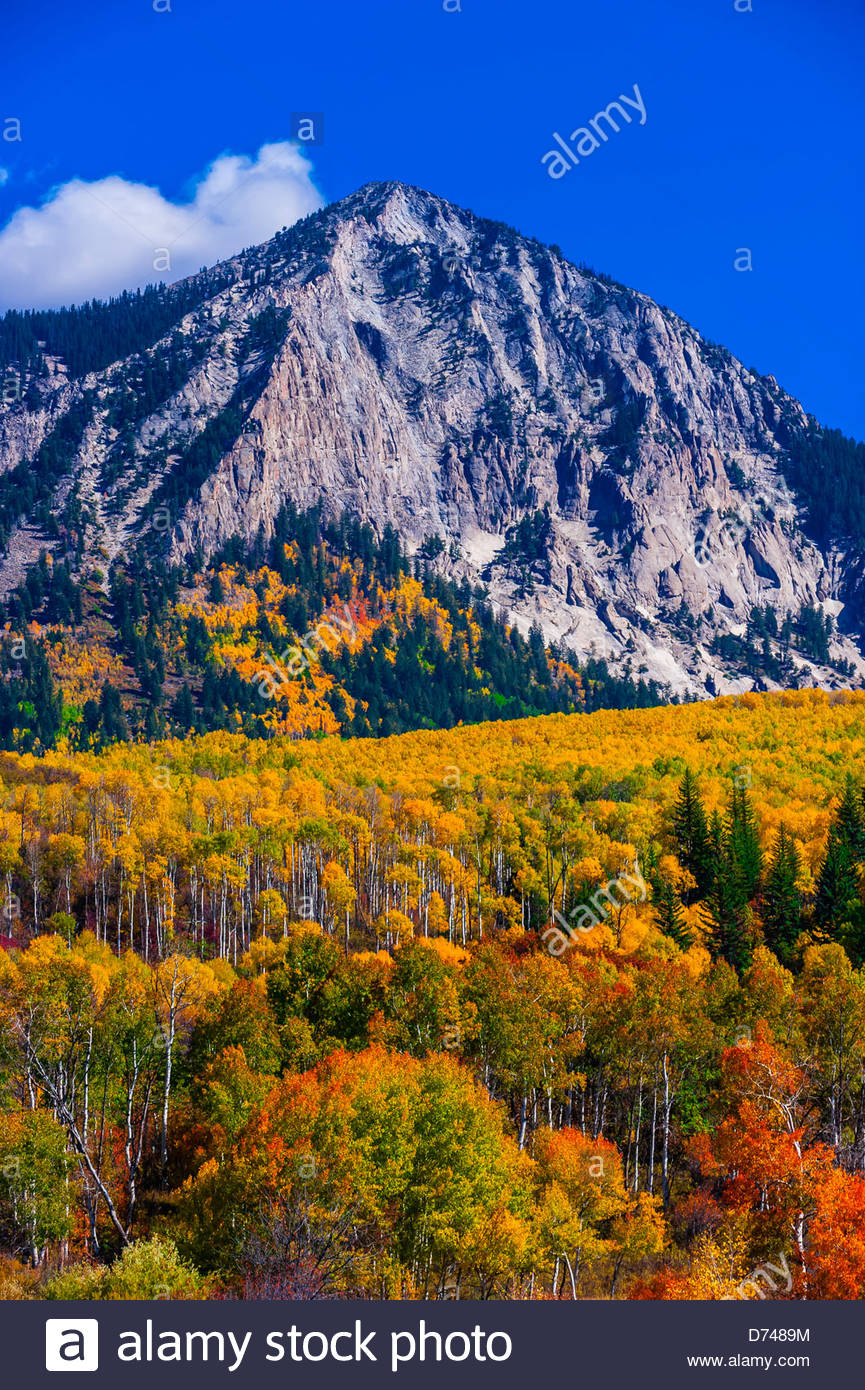 Fall Color Kebler Pass Crested Butte Stock Photos & Fall Color Kebler