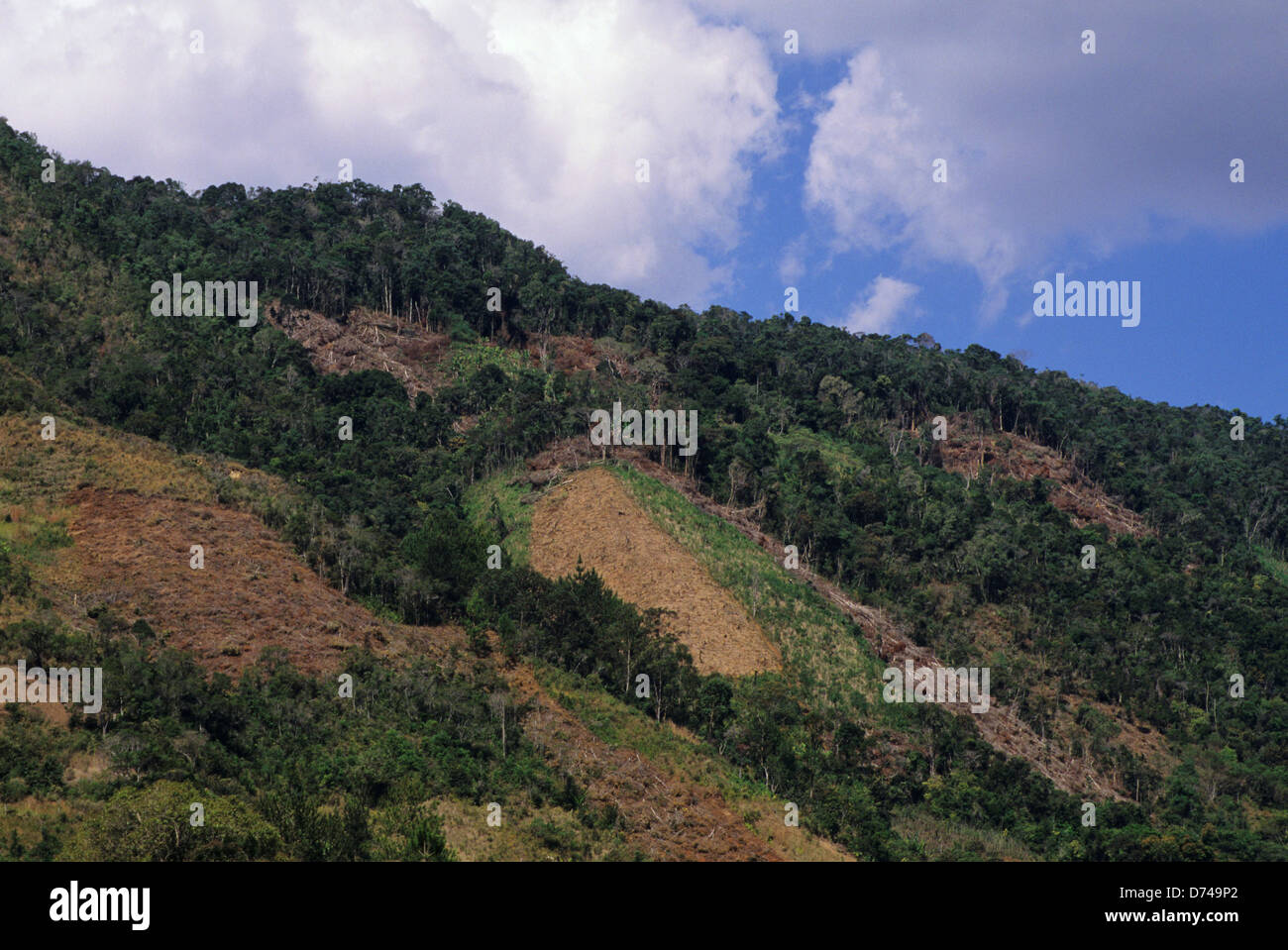 Madagascar, Near Moramanga, Mandraka, Clearcut Hills With Rain Forest On Top Stock Photo