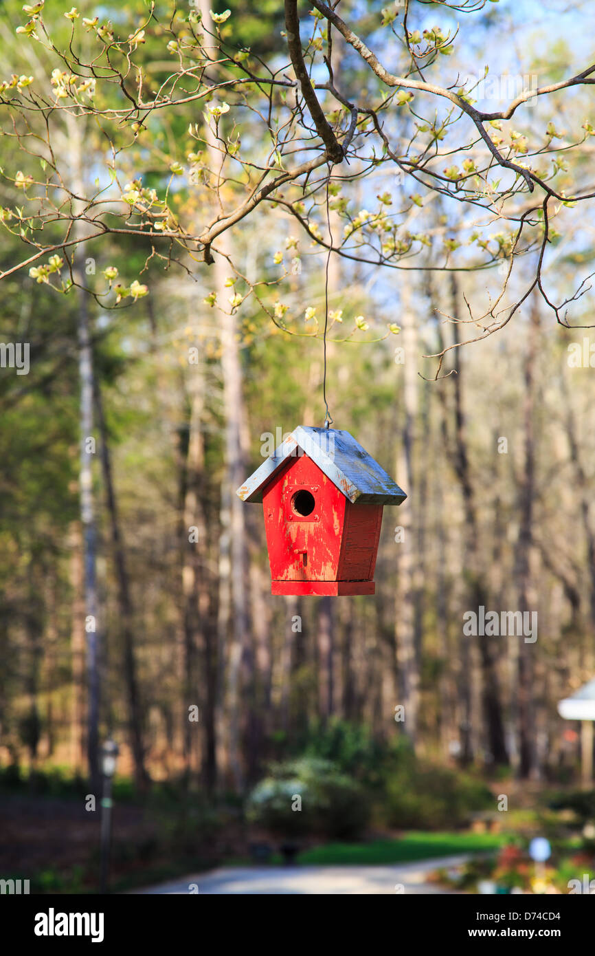 A colorful birdhouse in the branches of a tree in the first blooms of spring. Stock Photo