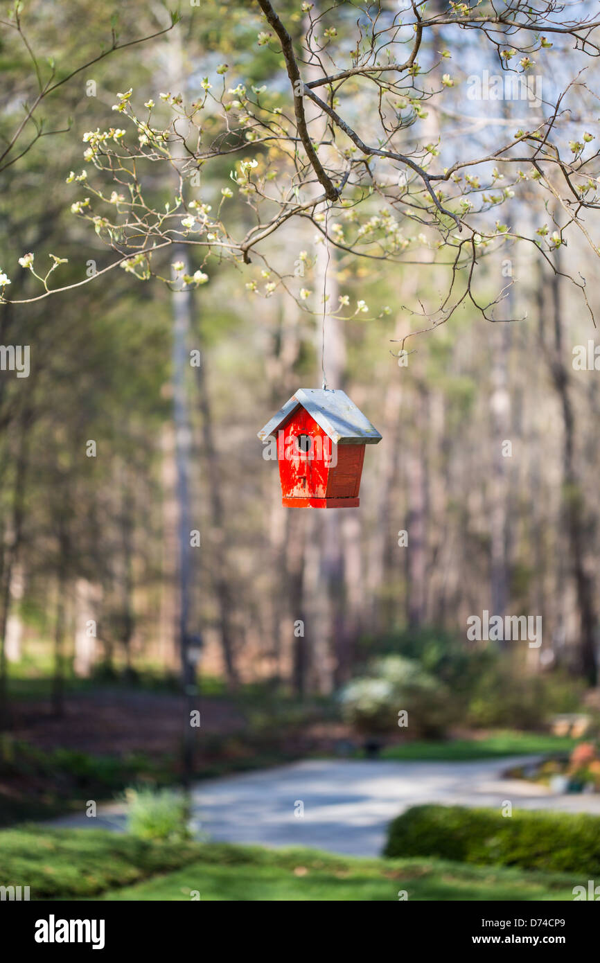 A colorful birdhouse in the branches of a tree in the first blooms of spring. Stock Photo