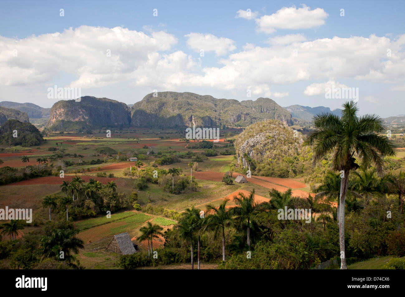 karst landscape with tobacco fields in the Vinales Valley, Vinales, Pinar del Rio, Cuba, Caribbean Stock Photo