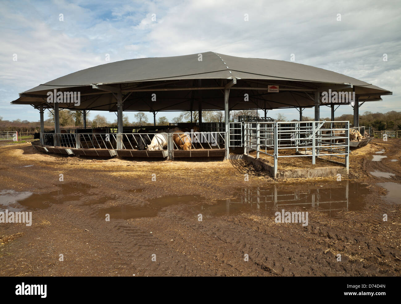 Roundhouse cow shed Stock Photo: 56031829 - Alamy