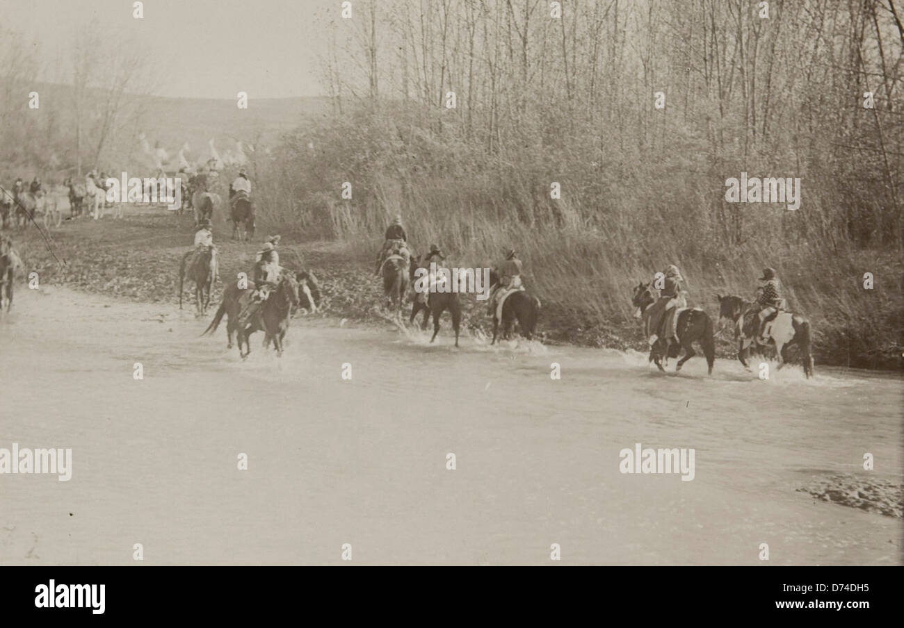 Native river horse hi-res stock photography and images - Alamy