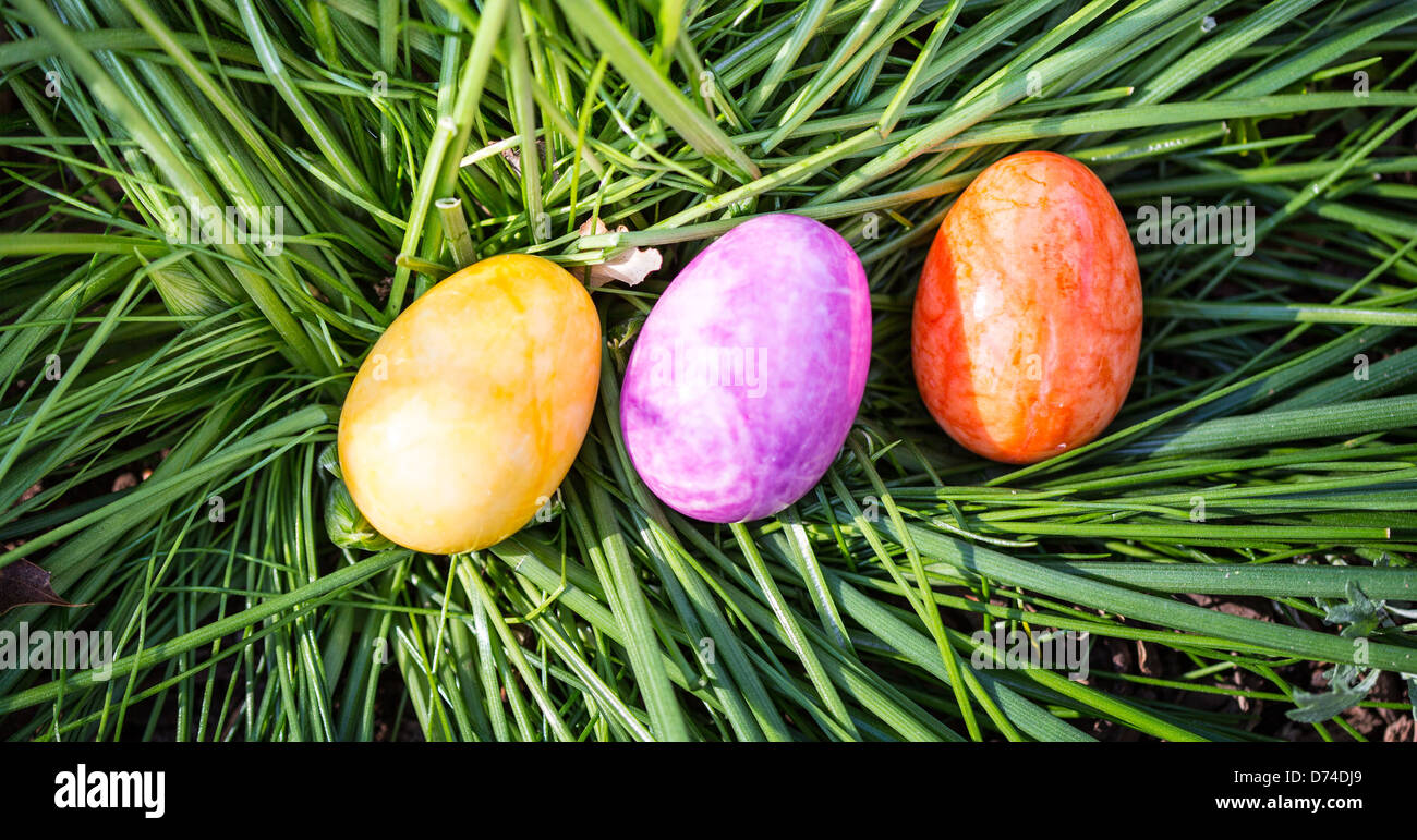 Alabaster Easter Eggs hidden in a patch of grass for the kids to find. Stock Photo