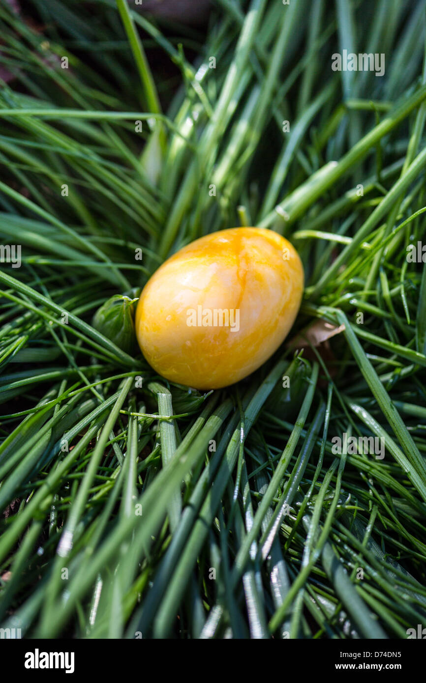 Alabaster Easter Eggs hidden in a patch of grass for the kids to find. Stock Photo