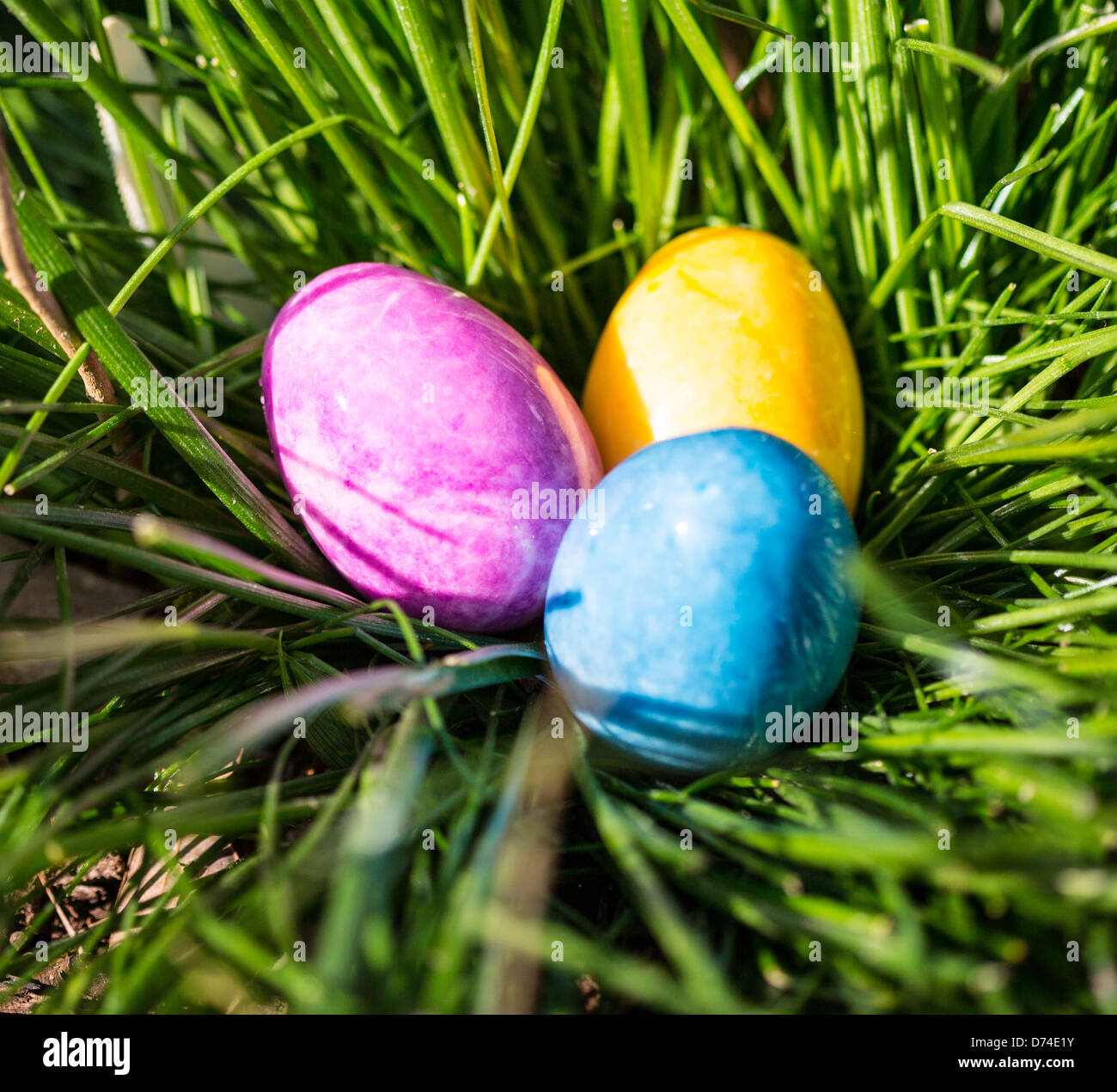 Alabaster Easter Eggs hidden in a patch of grass for the kids to find. Stock Photo