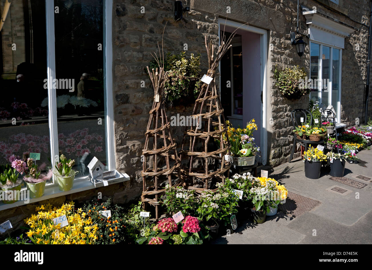 Flowers and plants for sale outside florists shop store in spring Stock