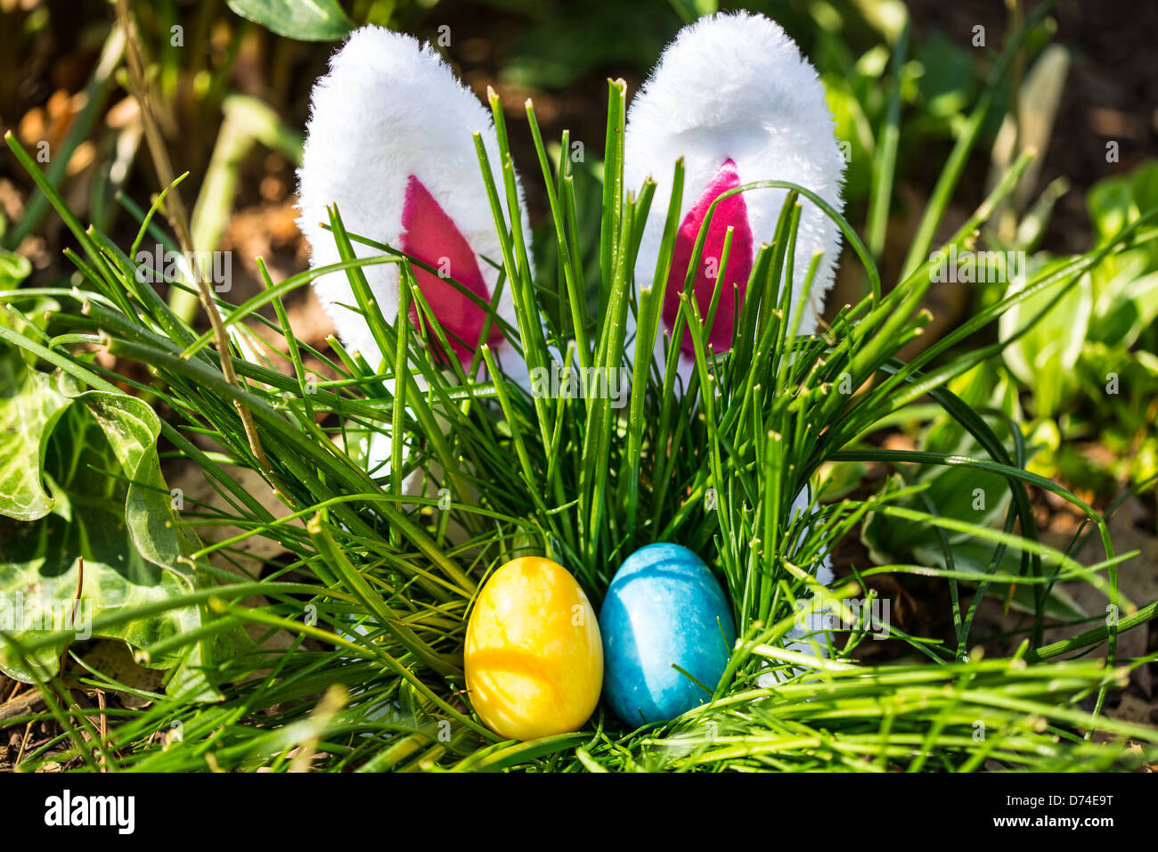 The Easter Bunny hides behind a tall bunch of grass where Easter Eggs
