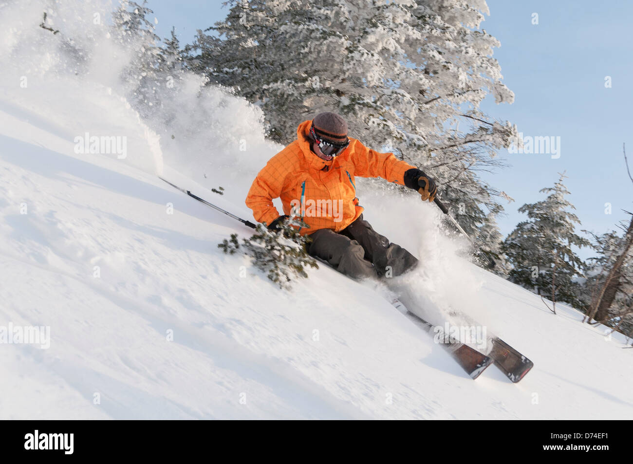 USA, Vermont, Stowe, Expert skier skiing powder Stock Photo Alamy