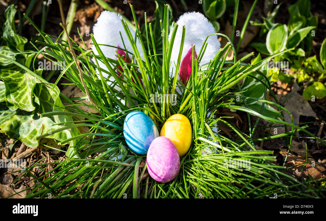 The Easter Bunny hides behind a tall bunch of grass where Easter Eggs are hidden. Holiday