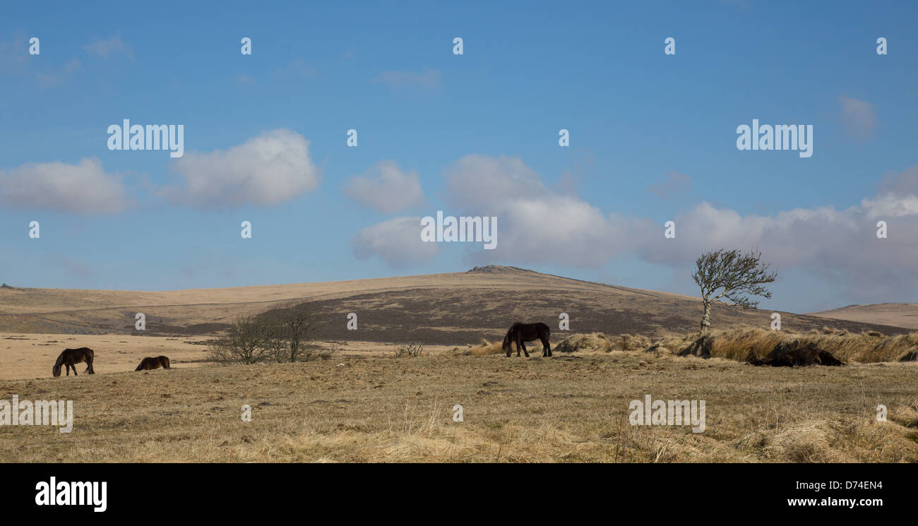 View across Dartmoor National Park, Devon April 2013 Stock Photo