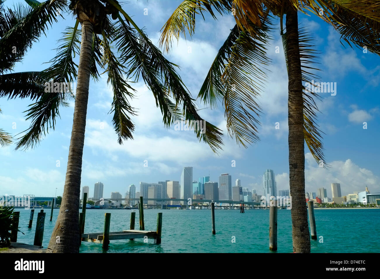 Miami Skyline viewed over bay and Marina, Florida, USA Stock Photo