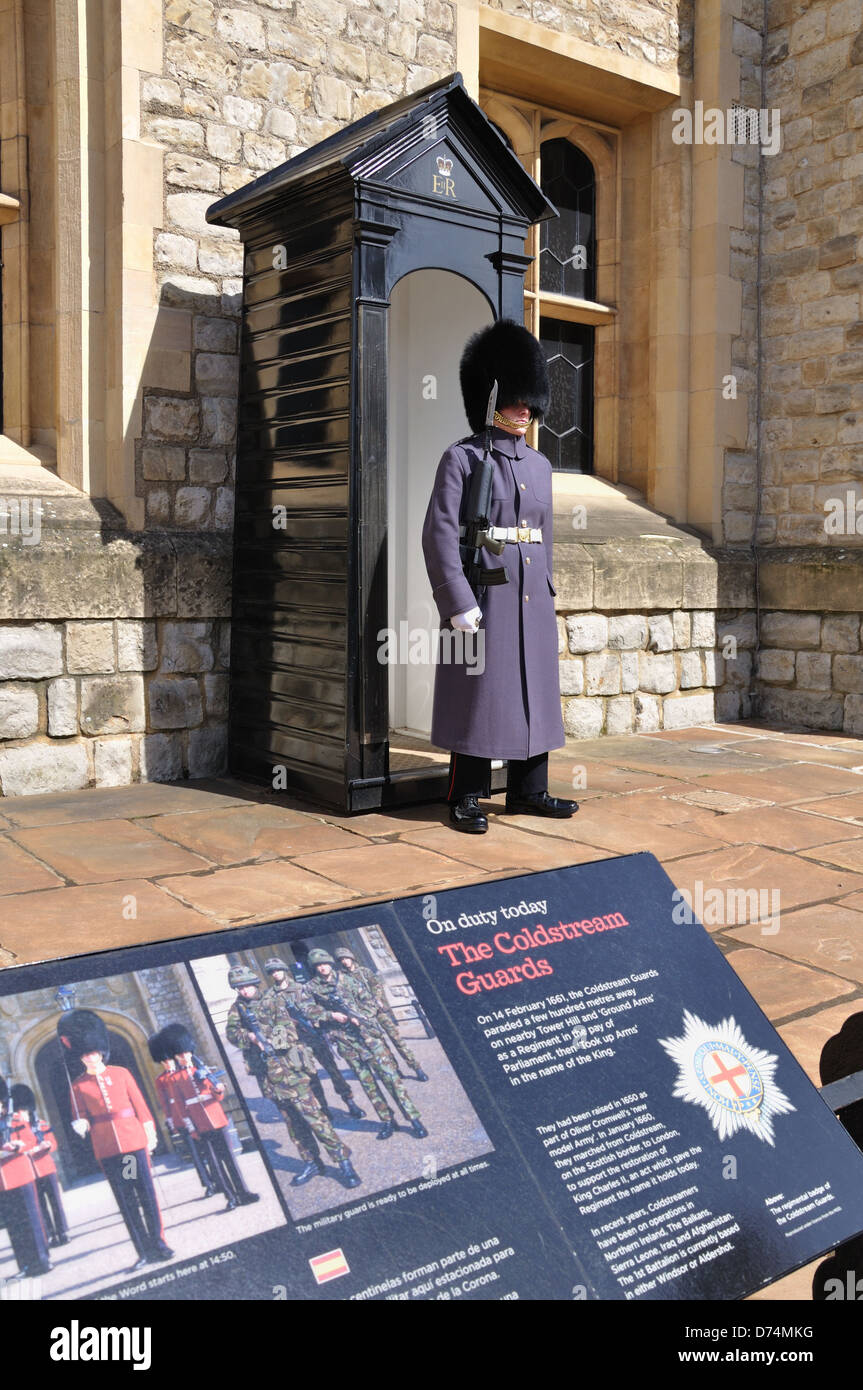 A Coldstream Guard on sentry duty. Stock Photo
