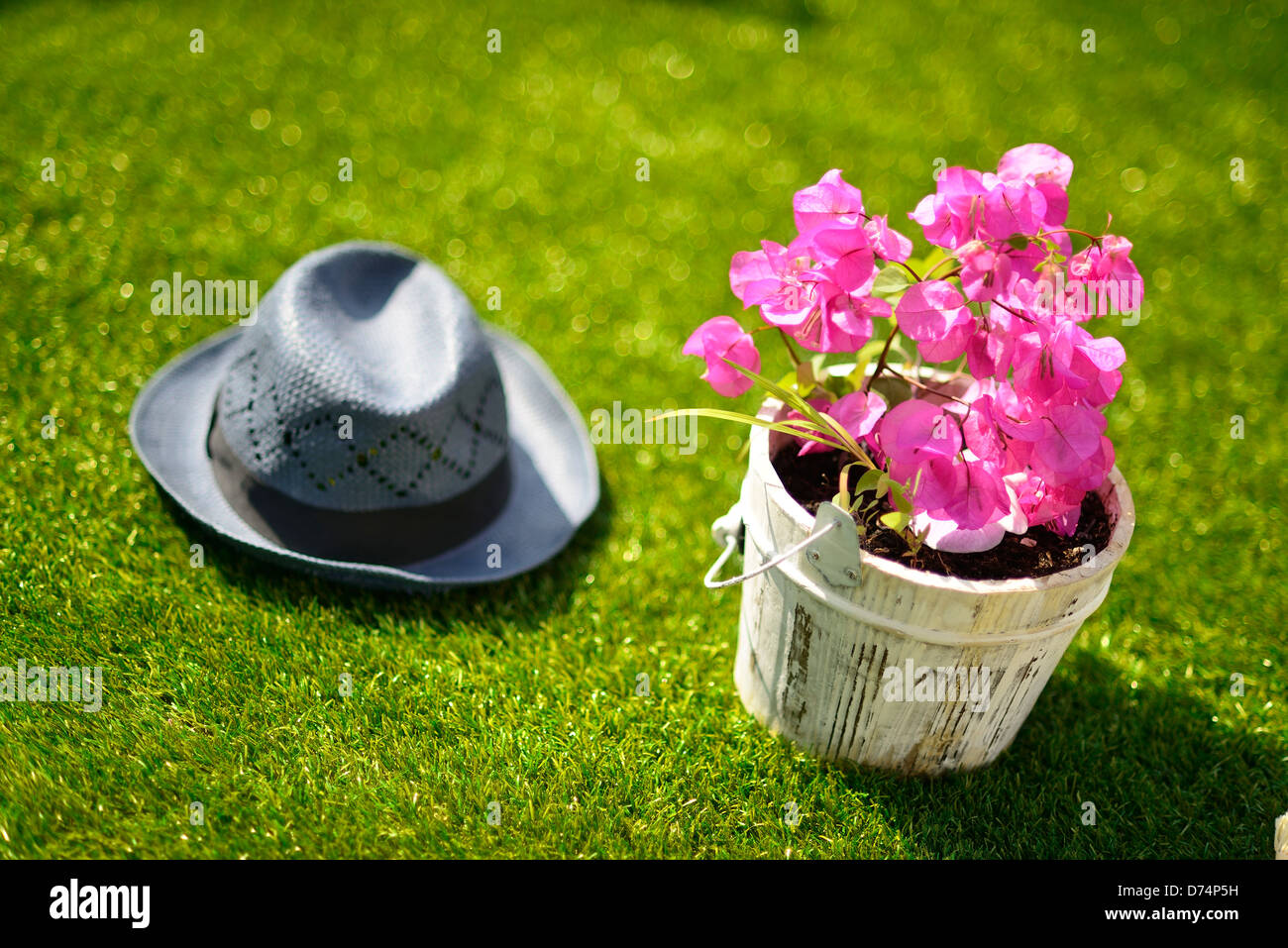 Flowerpot and hat over artificial grass Stock Photo