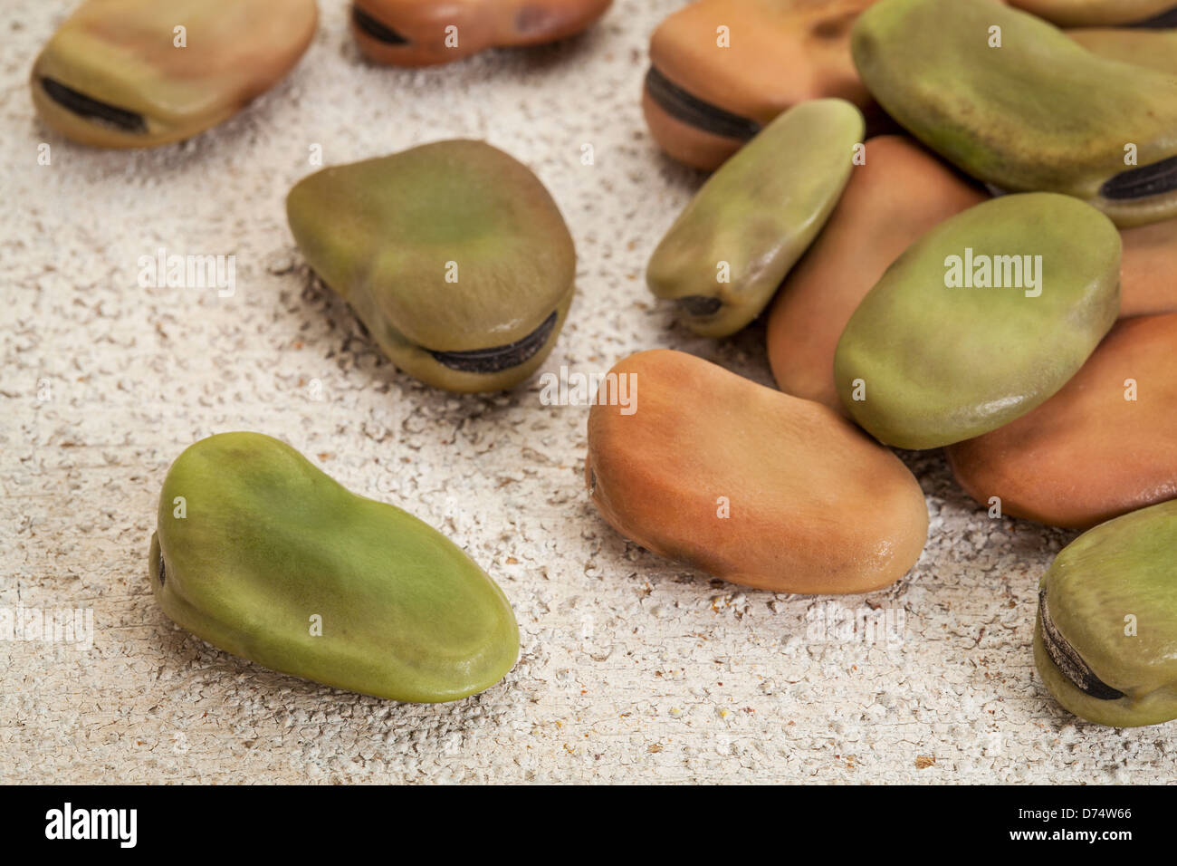 fava (broad) beans against a rough white painted band wood Stock Photo