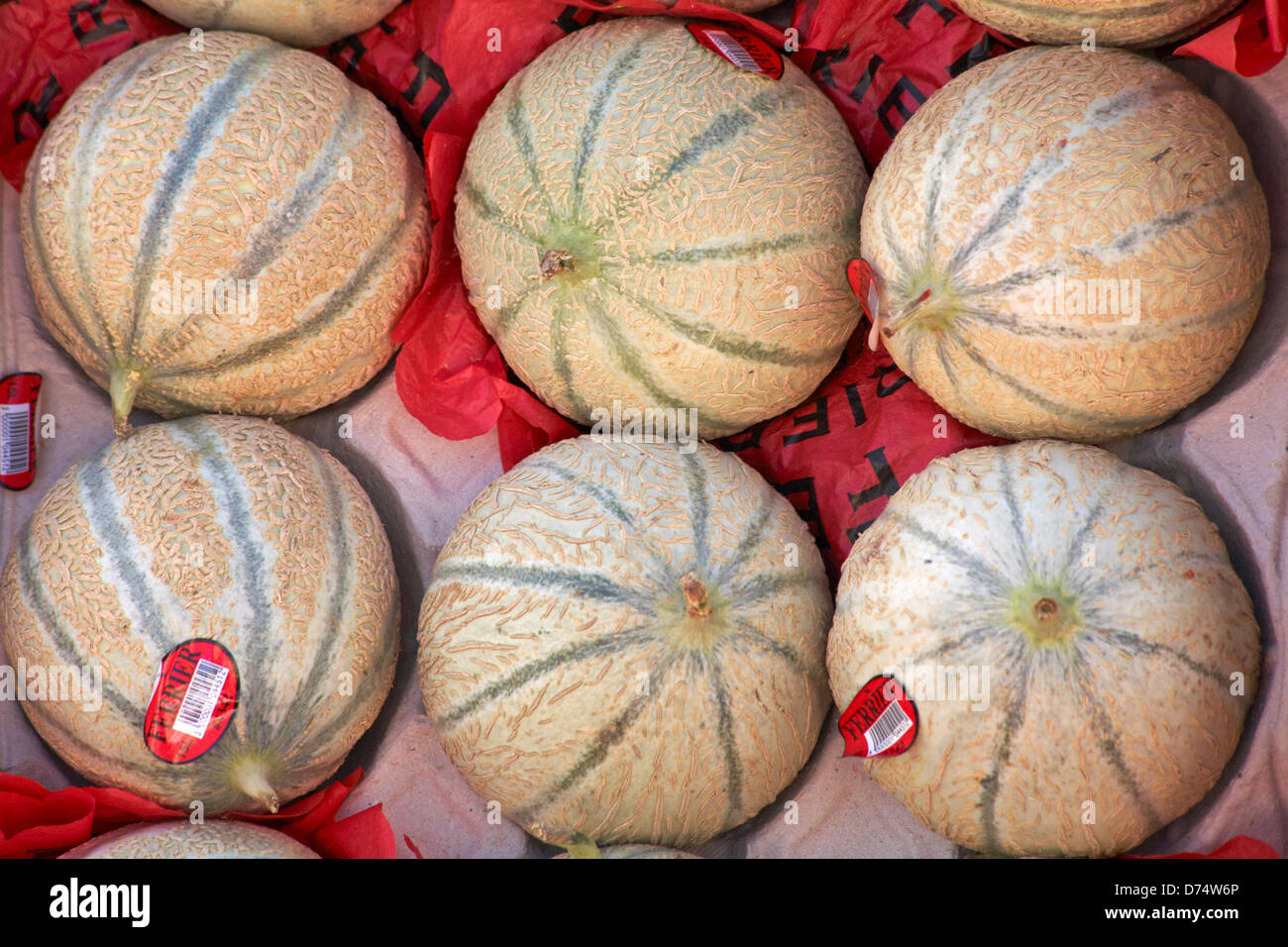 Ferrier melons, French Charentais melons, for sale in market stall at