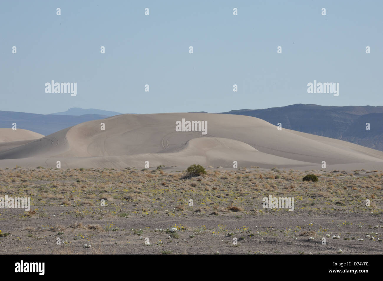 Sand Dunes in the state of Nevada Stock Photo - Alamy