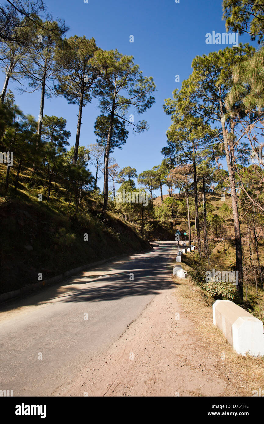 Road passing through a hilly area, Kasauli, Solan district, Himachal Pradesh,  India Stock Photo - Alamy
