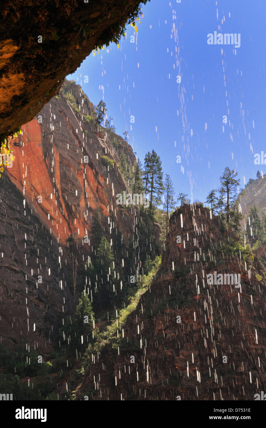 Water falls from a cliff in the weeping rock area of Zion National Park Stock Photo