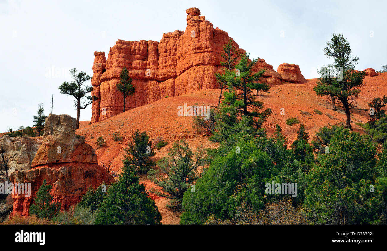 Red rock formations in Red Canyon, Utah Stock Photo