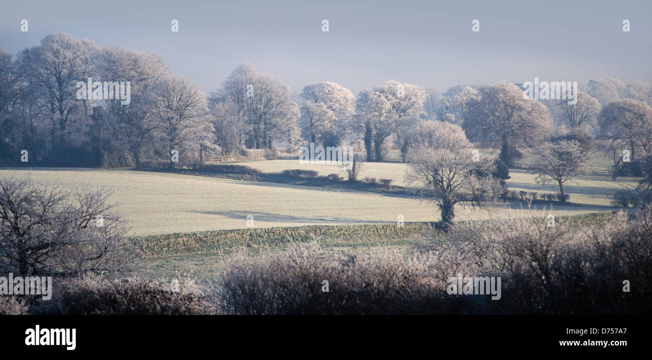 Hoar frost landscape, Hertfordshire, UK, rural scene, low winter sunshine Stock Photo
