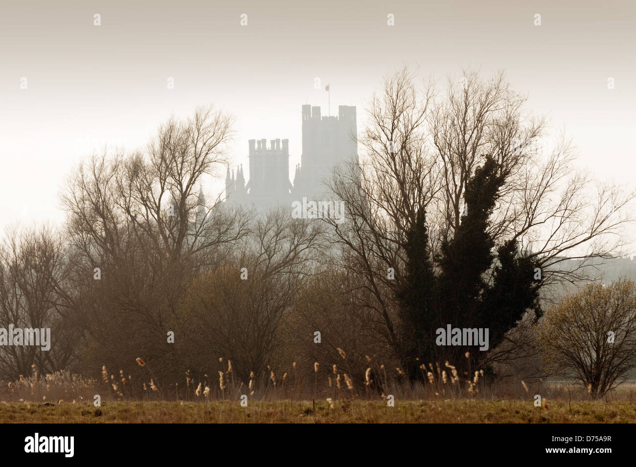 Ely Cathedral at sunset seen from across the fens, Ely, Cambridgeshire UK Stock Photo