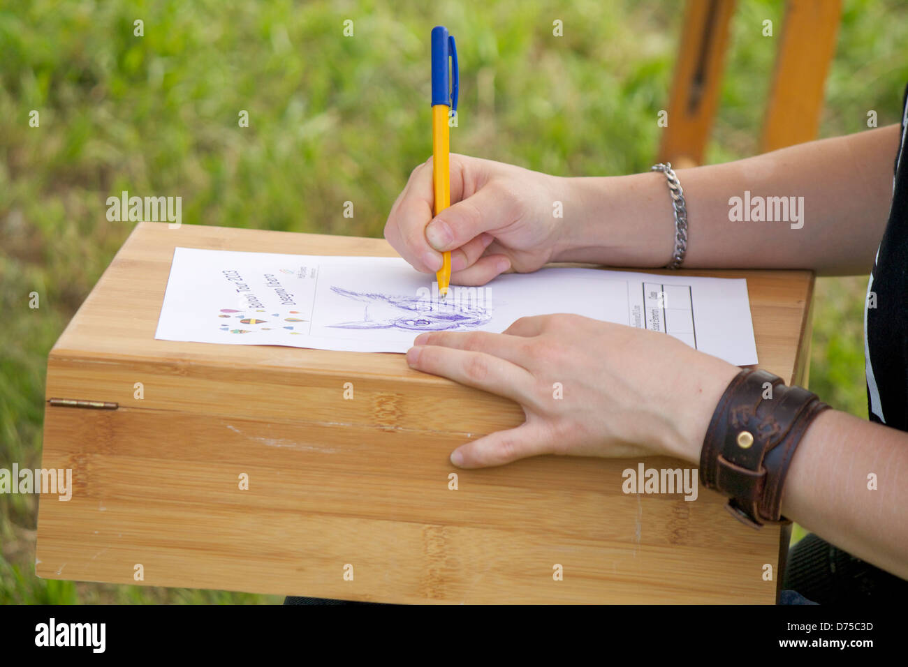 Stock Photo