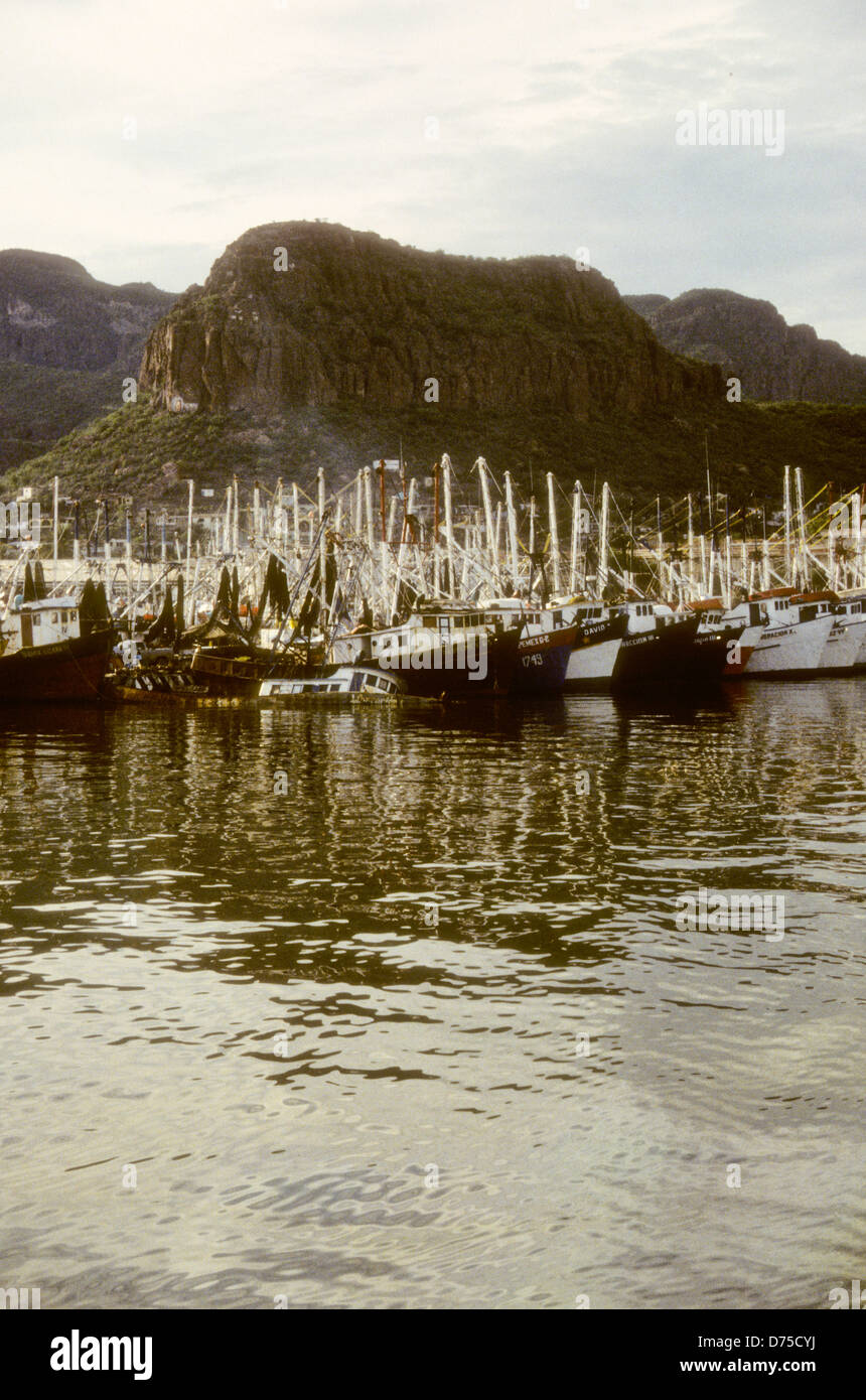 Sea of Cortes,Oct 1994 Digital Underwater Slide Conversions,a Gulf that separates the USA Baja California Peninsula from Mexico Stock Photo