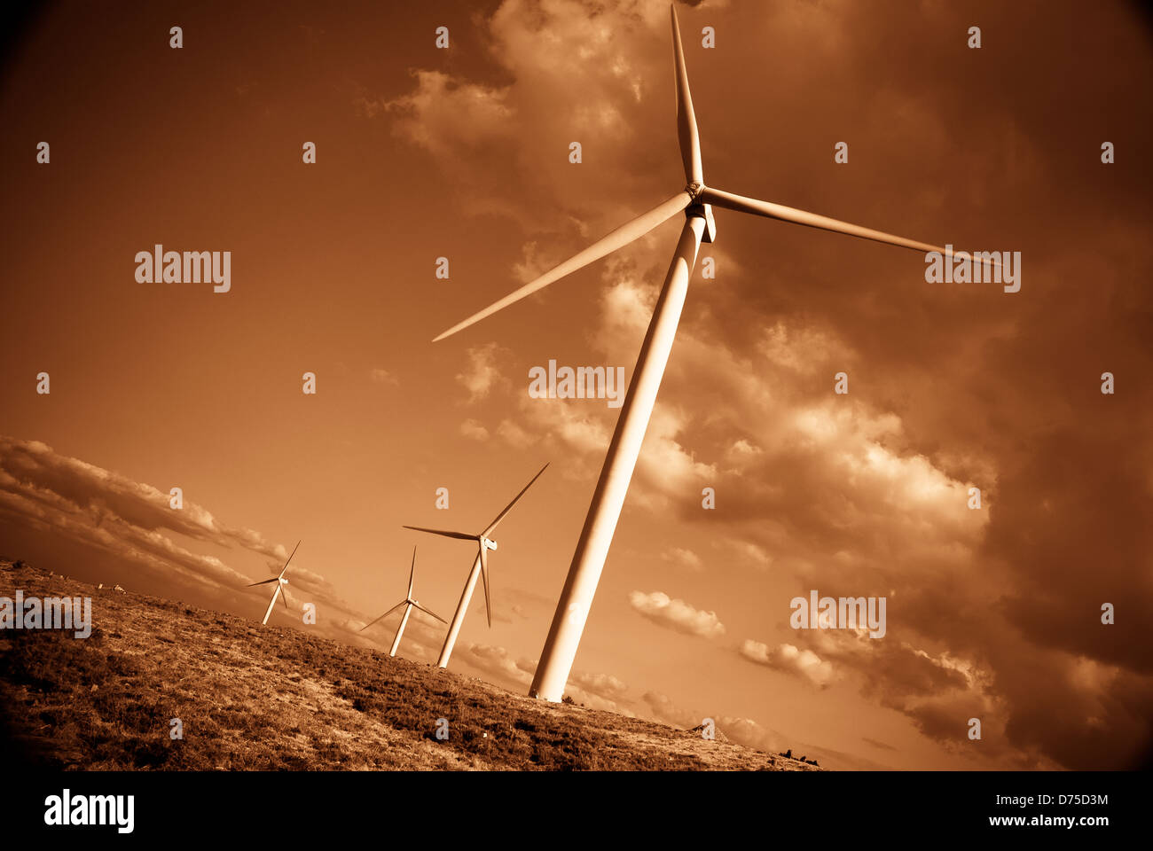 Wind turbines with dramatic sun light with yellow sky and clouds. Stock Photo