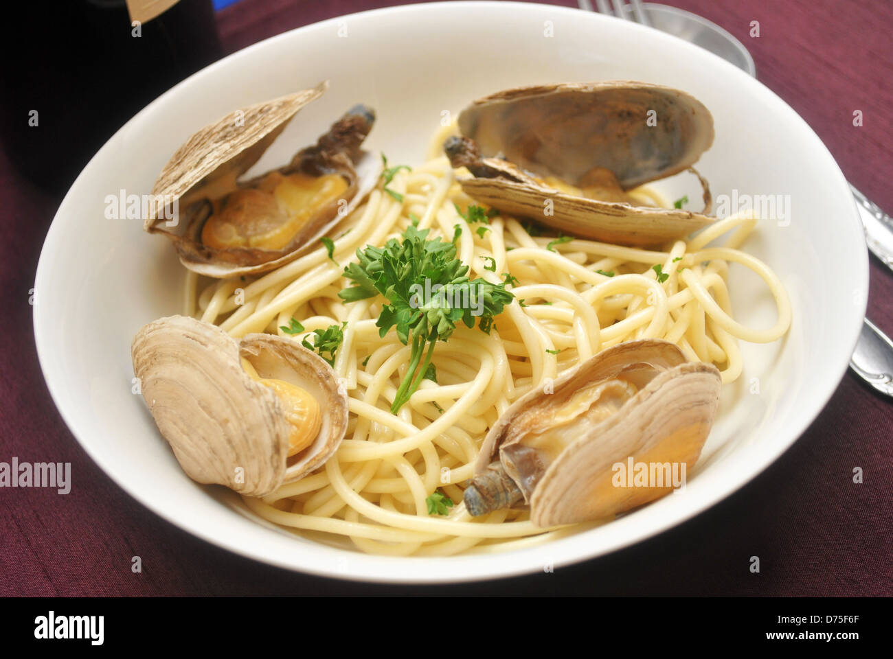 Steamed Clams with Spaghetti Stock Photo Alamy