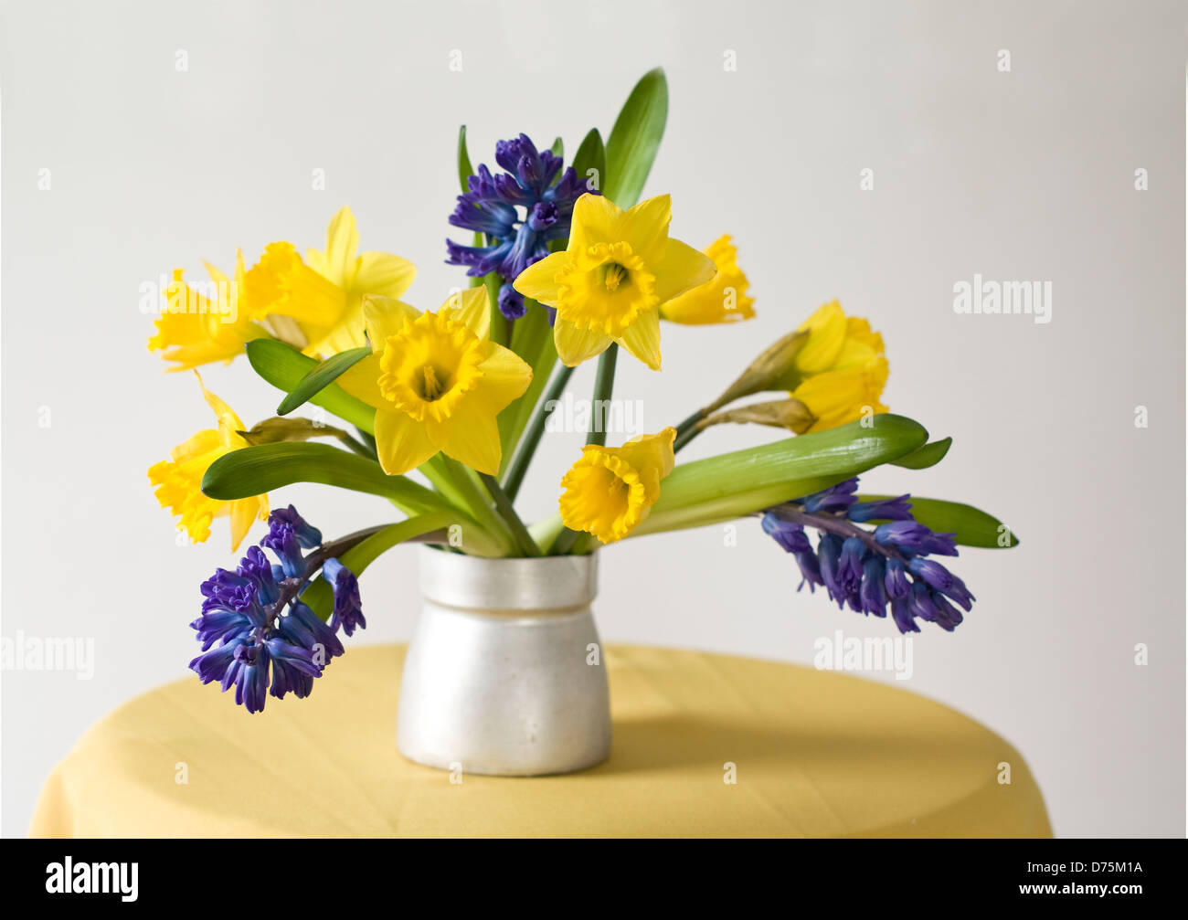 Daffodils, Hyacinths, tulips still life in vase Stock Photo Alamy