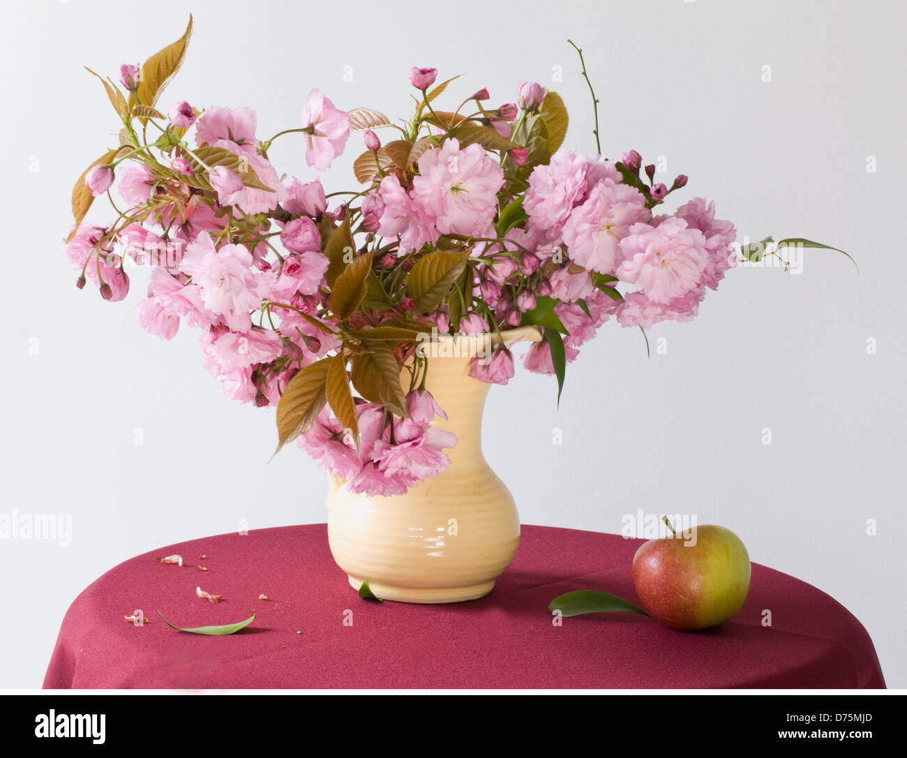 Pink cherry blossom in vase hi-res stock photography and images - Alamy