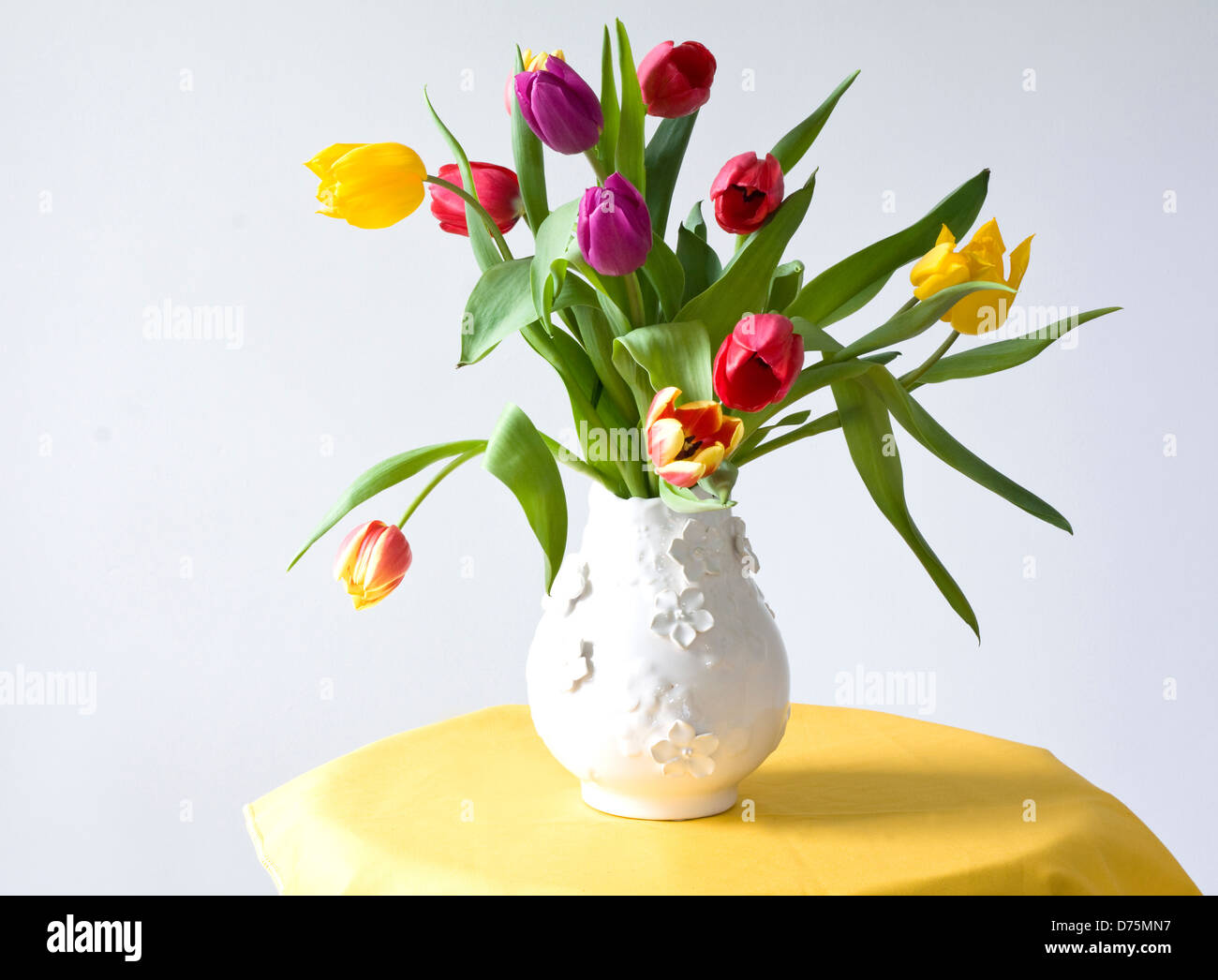 Tulips still life in vase hires stock photography and images Alamy