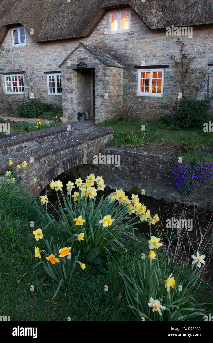 Spring has arrived. Daffodils grow in front of this picturesque thatched cottage in the Dorset village of Martinstown. England, United Kingdom. Stock Photo