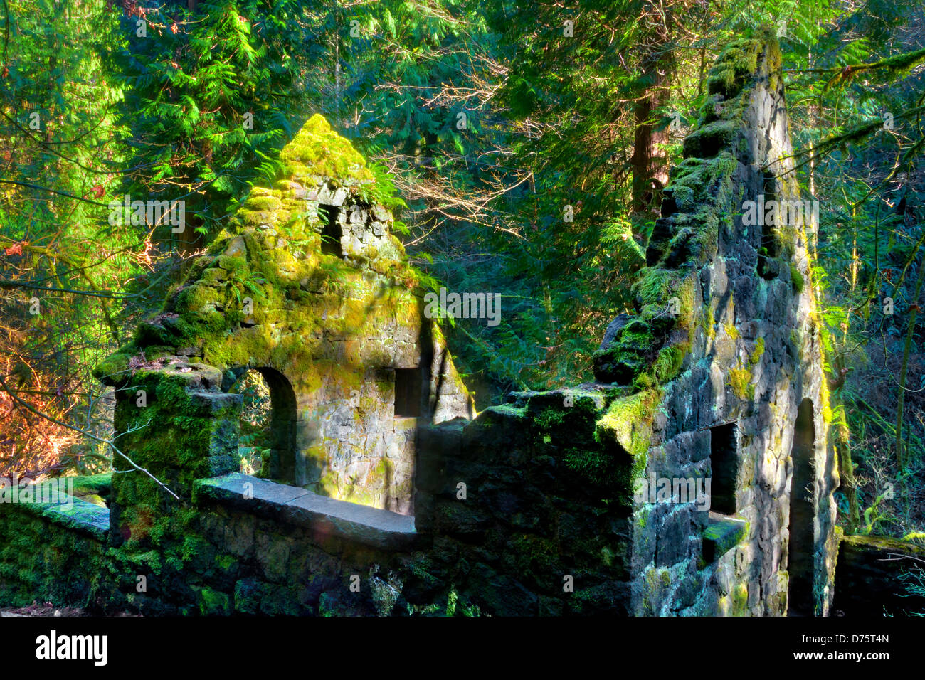 Abandoned roofless Stone House covered with moss in Forest Park