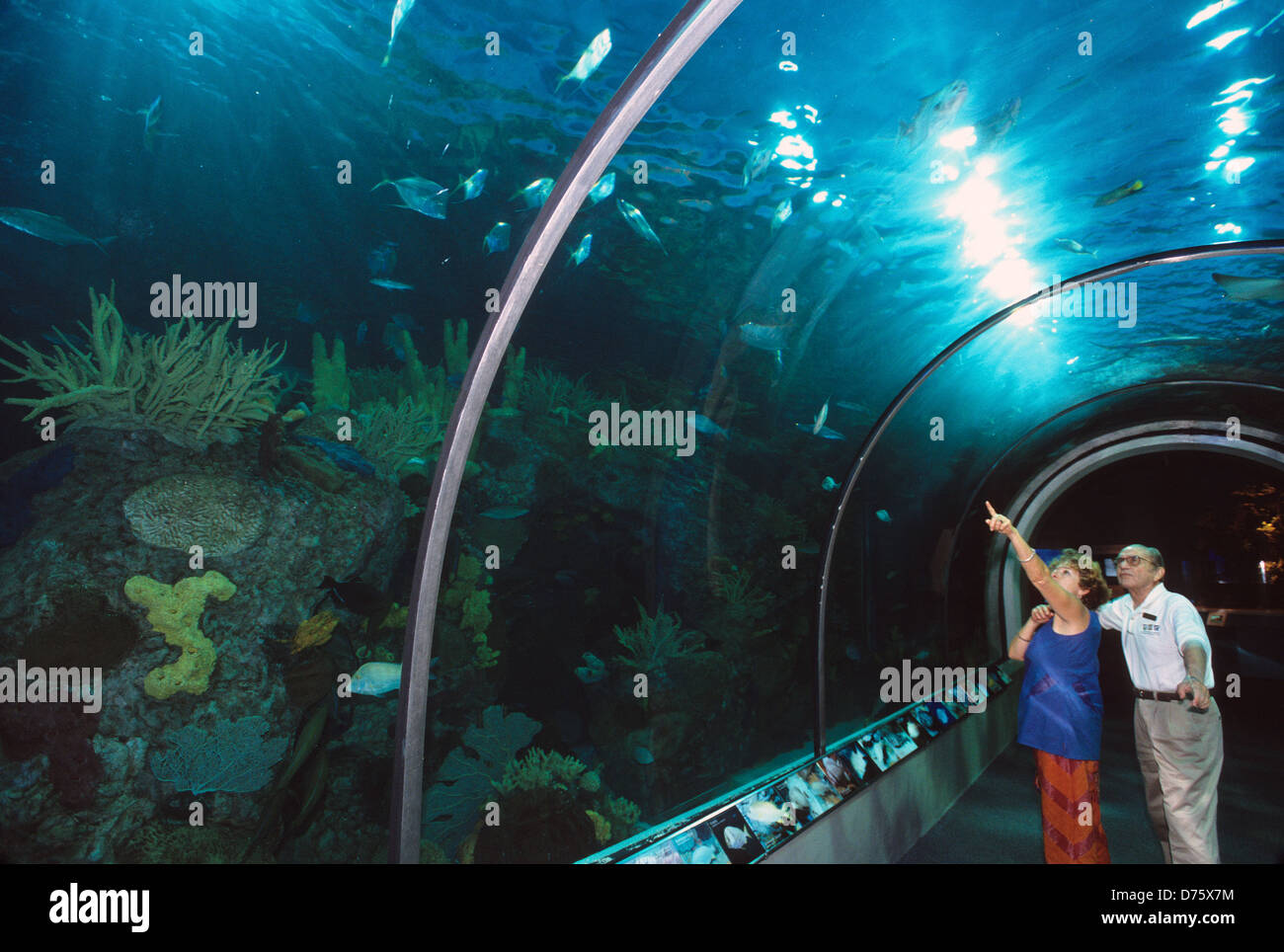 Elk2832137 Louisiana, New Orleans, Audubon Aquarium of the Americas