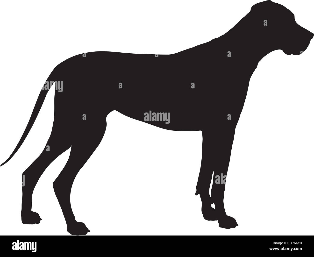 A Great Dane dog shown in black silhouette profile. Stock Photo