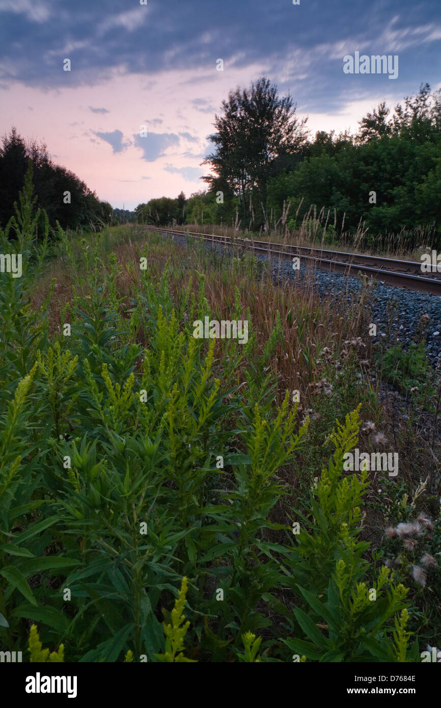 Train tracks at sunset, Ontario, Canada. Stock Photo