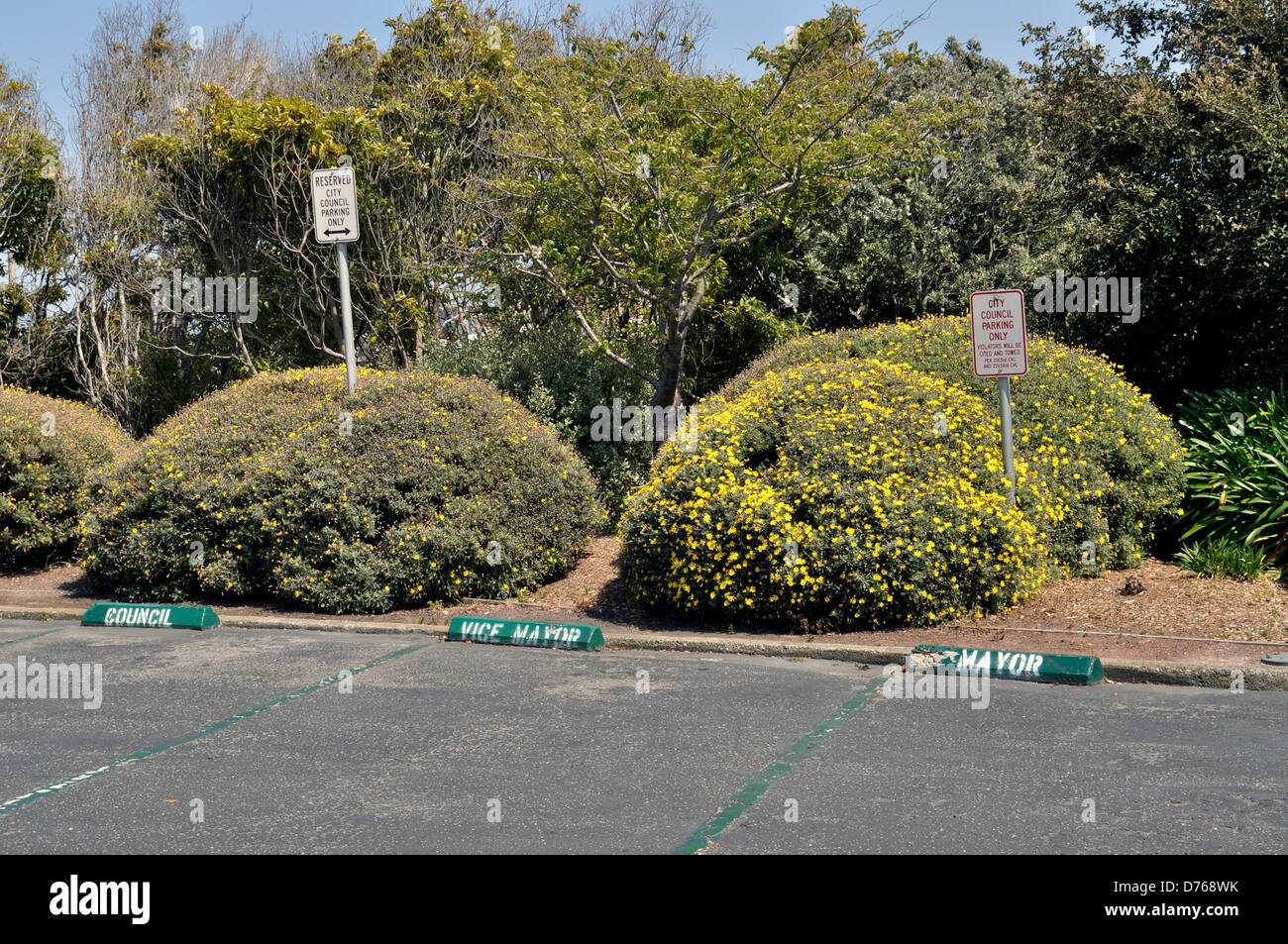 Reserved city council parking, South San Francisco, California, USA Stock Photo