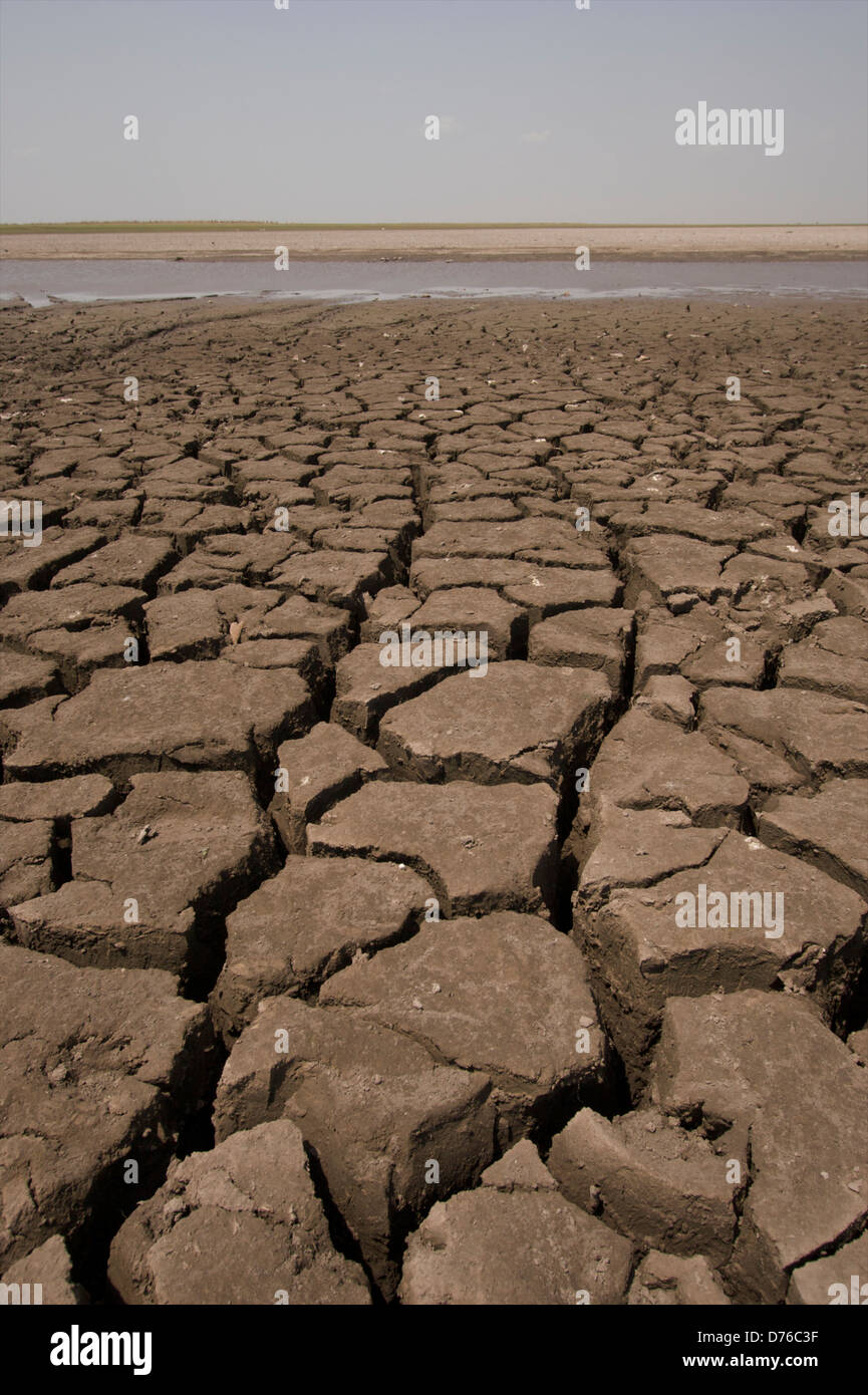Dry lake bed in drought, Llanos region, Hato el Cedral, Venezuela ...