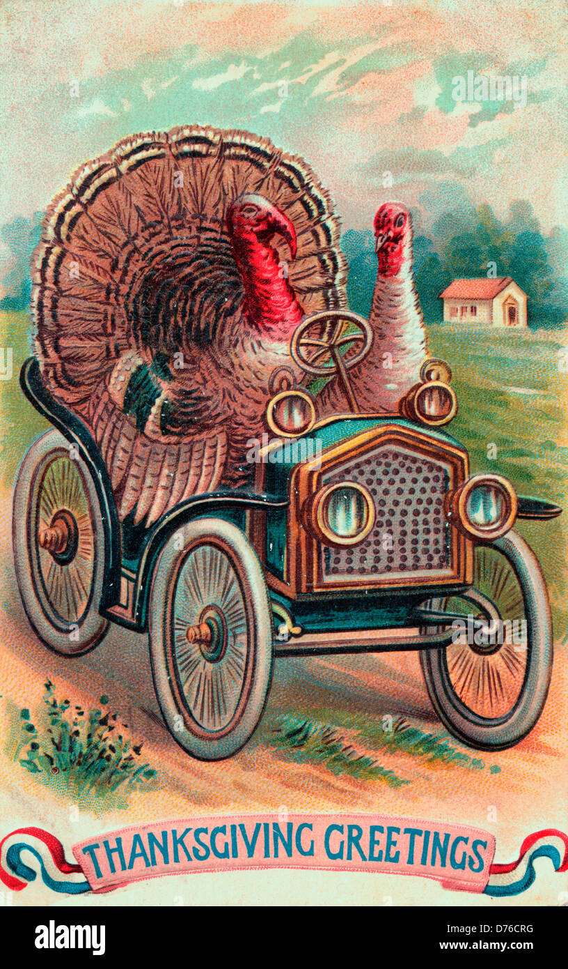 Thanksgiving Greetings - Turkeys driving an old car - Happy Thanksgiving Stock Photo