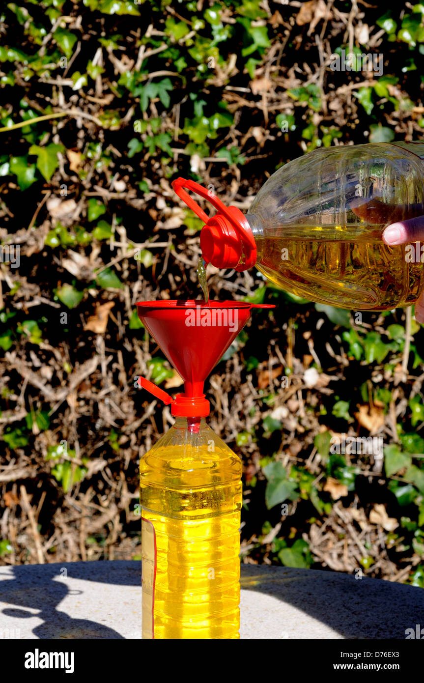 Pouring olive oil through a funnel into a smaller bottle, Andalucia