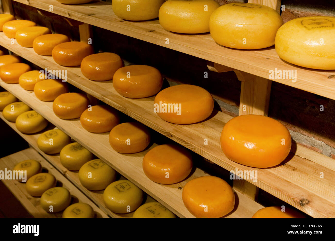 gouda cheeses,de Stock Photo Alamy