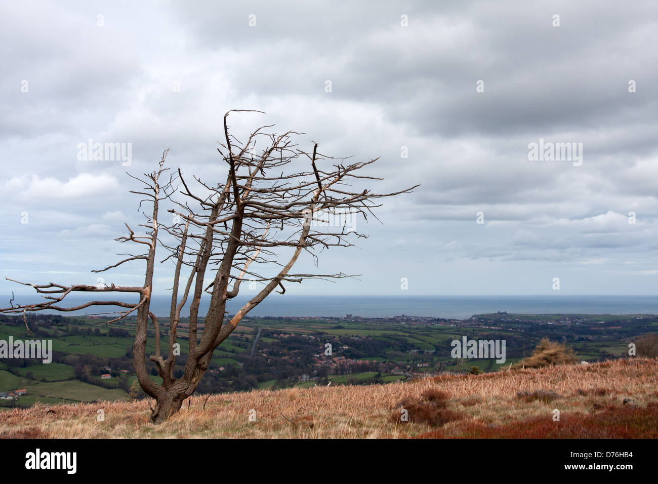 View of Whitby from the North Yorkshire Moors Stock Photo