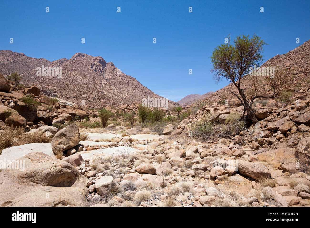Impressions of Tsisab Ravine Valley, Brandberg, Erongo, Namibia Stock Photo