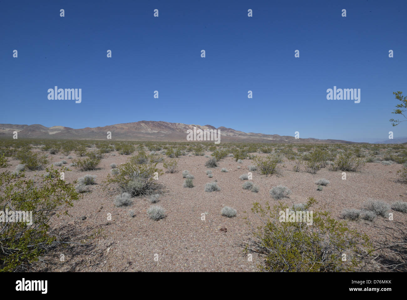 Death valley heat haze hi-res stock photography and images - Alamy