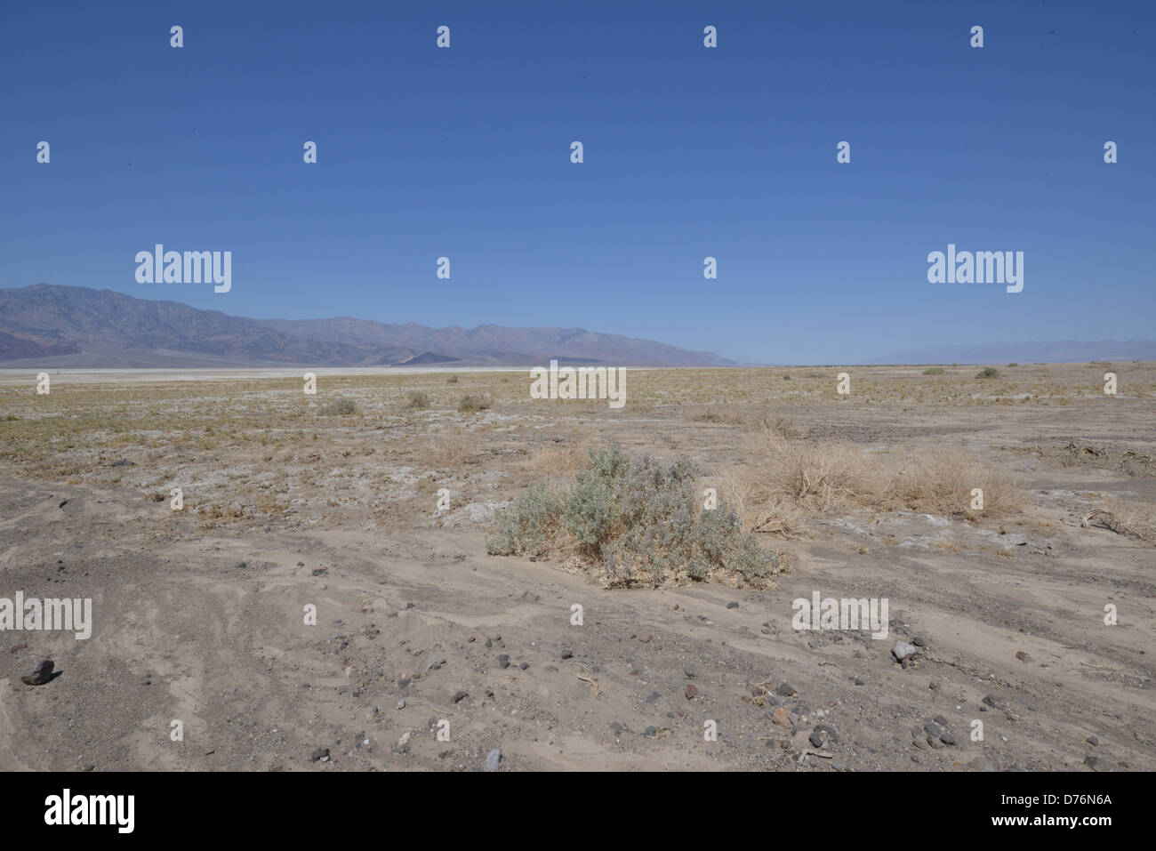 Death Valley , Nevada Stock Photo Alamy