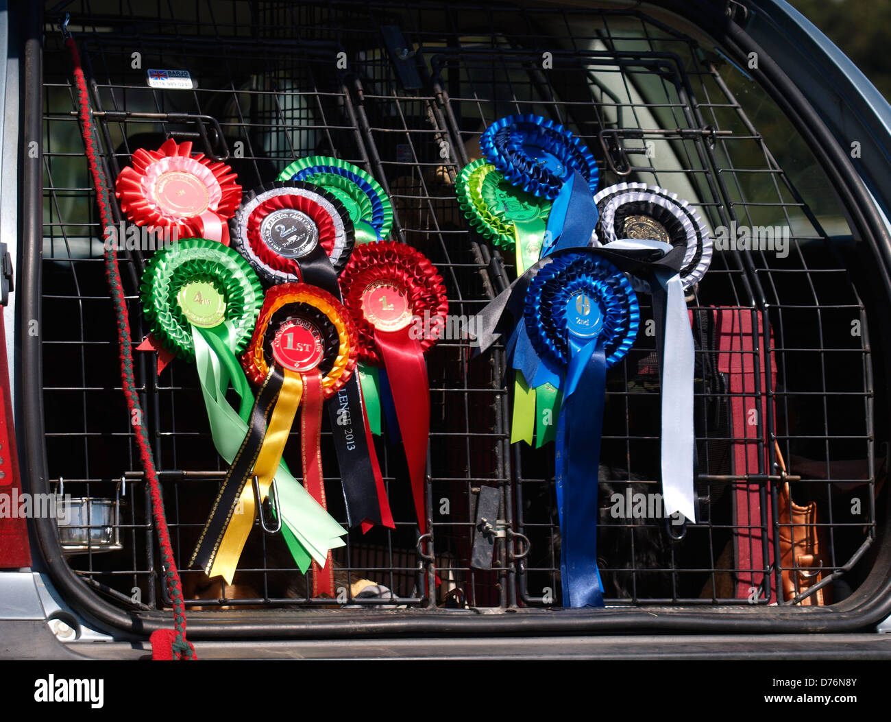Dog agility rosettes, UK 2013 Stock Photo