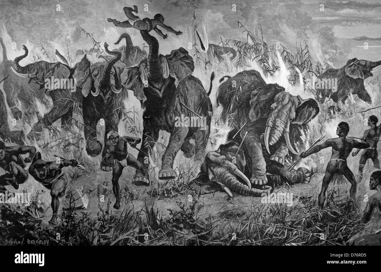 Herd of elephants encircled by fire in battle with natives, South Africa, Africa, woodcut circa 1871 Stock Photo