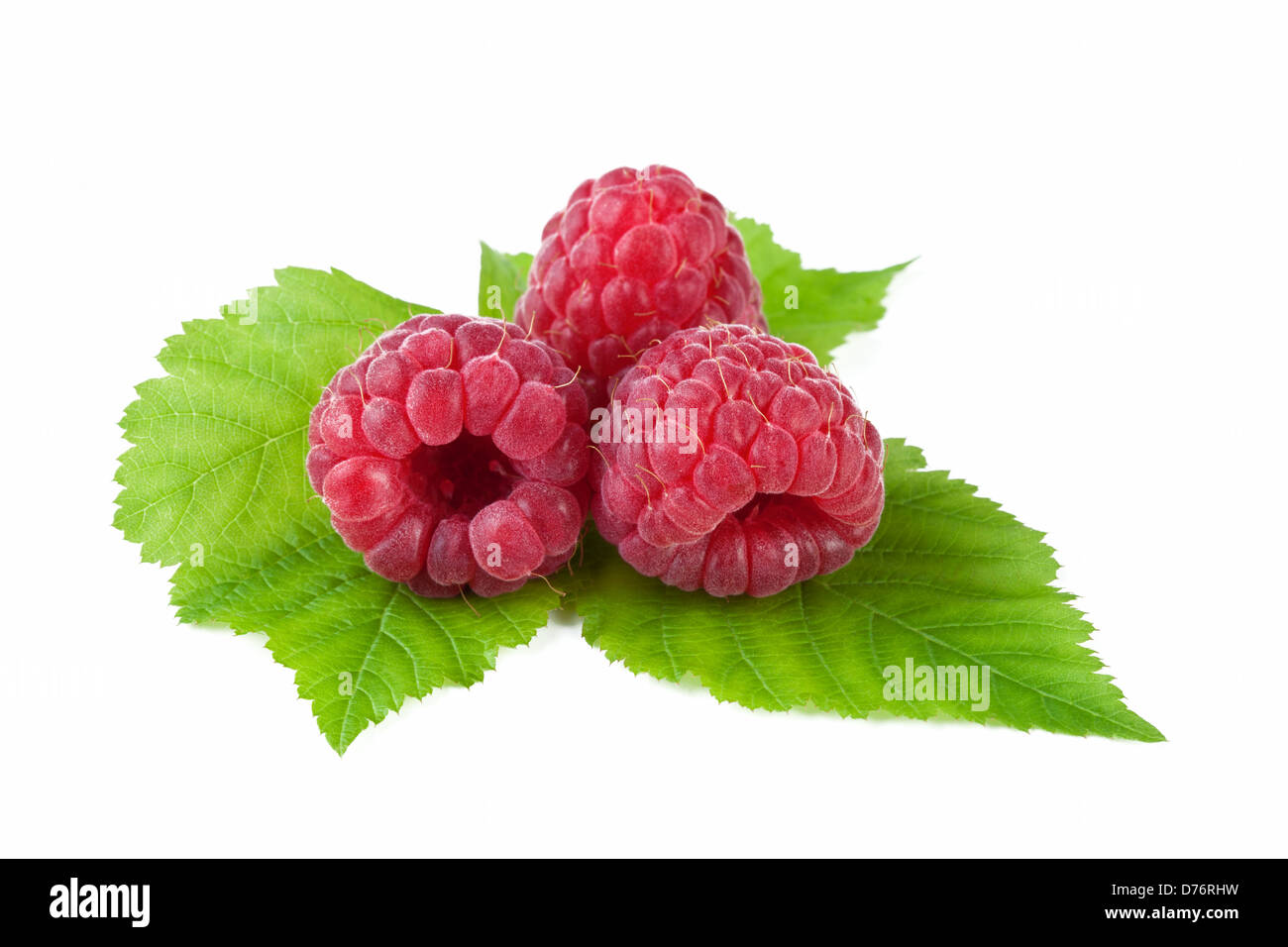 raspberry with leaf isolated on white background Stock Photo